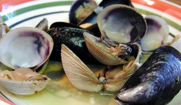 Školjke, foto: www.sibenik.in