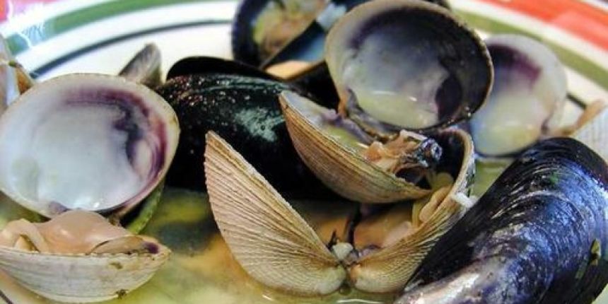 Školjke, foto: www.sibenik.in Školjke, foto: www.sibenik.in