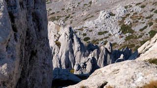 OLYMPUS DIGITAL CAMERA OLYMPUS DIGITAL CAMERA