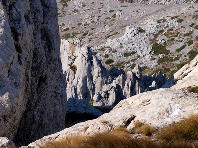 OLYMPUS DIGITAL CAMERA OLYMPUS DIGITAL CAMERA