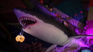 Friday Night Live: Jet Set Band @ Famous Beach Bar & Grill. Foto: Ivan Brčić Friday Night Live: Jet Set Band @ Famous Beach Bar & Grill. Foto: Ivan Brčić