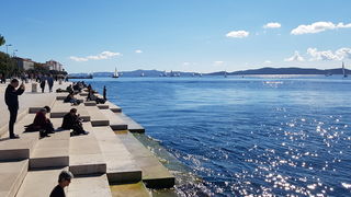 Zadarska Koka 2016. 22. listopada 2016. Foto: Mladen Malik Zadarska Koka 2016. 22. listopada 2016. Foto: Mladen Malik