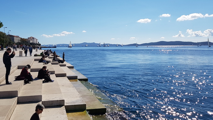 Zadarska Koka 2016. 22. listopada 2016. Foto: Mladen Malik Zadarska Koka 2016. 22. listopada 2016. Foto: Mladen Malik