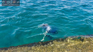 Ludijada zadarskih maturanata na Pozdravu suncu i Morskim orguljama