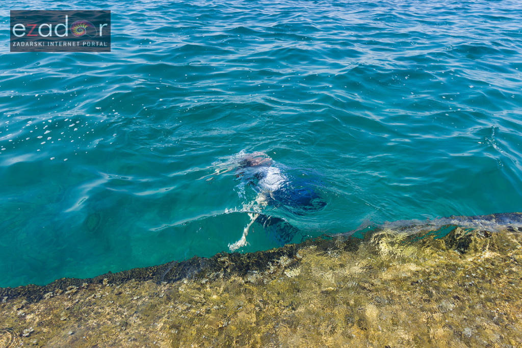 Ludijada zadarskih maturanata na Pozdravu suncu i Morskim orguljama