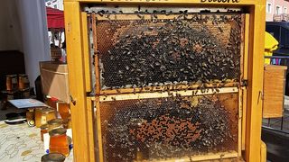 Posjetili smo manifestaciju Jesen u Lici Posjetili smo manifestaciju Jesen u Lici