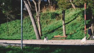 Večernji đir po Sabunikama i Kolovarama. Foto: Iva Perinčić