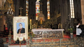 Hodocasce zupljana zupe Bl. Alojzija Stepinca u Krasic, Mariju Bistricu i zagreb, Foto: Darko Dilber