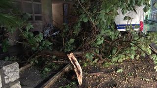 Posljedice grmljavinske nevere koja je poharala Zadar