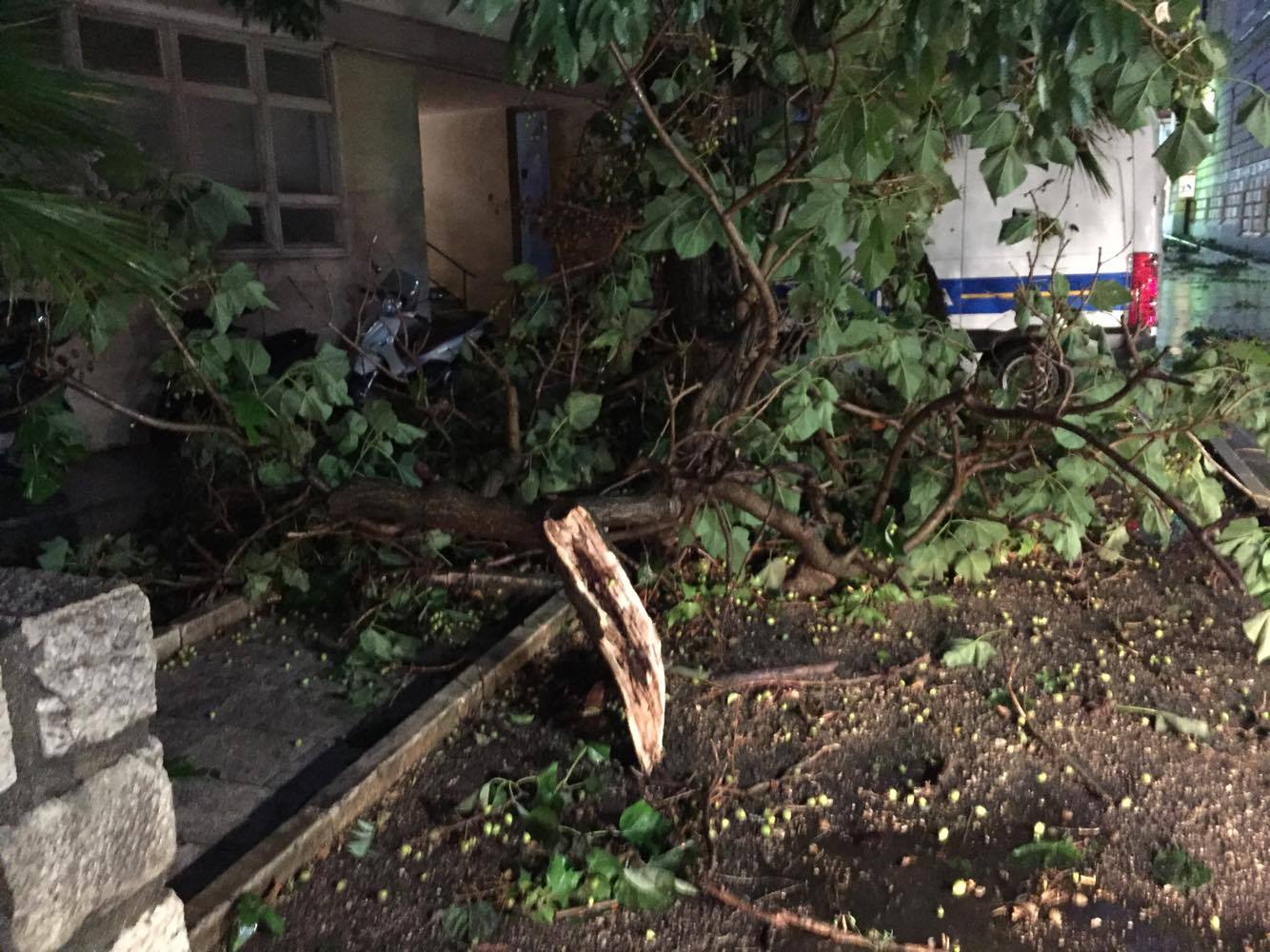 Posljedice grmljavinske nevere koja je poharala Zadar