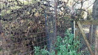 Nevera učinila veliku štetu i zadarskom azilu Nevera učinila veliku štetu i zadarskom azilu