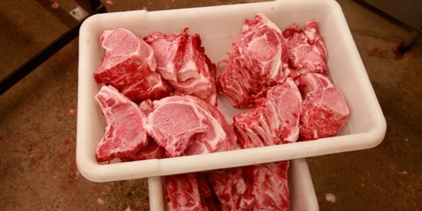 on April 28, 2009 in Des Moines, Iowa. on April 28, 2009 in Des Moines, Iowa.