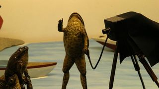 Zbirka od 500-tinjak prepariranih zaba u ljudskim situacijama, smjestena u bivsem kinu Tesla, prema rijecima vlasnika Ivana Medveseka, ne naliazi na dovoljno zanimanje institucija RH pa bi uskoro trebala preseliti u London. Photo: Ivo Cagalj/PIXSELL Zbirka od 500-tinjak prepariranih zaba u ljudskim situacijama, smjestena u bivsem kinu Tesla, prema rijecima vlasnika Ivana Medveseka, ne naliazi na dovoljno zanimanje institucija RH pa bi uskoro trebala preseliti u London. Photo: Ivo Cagalj/PIXSELL