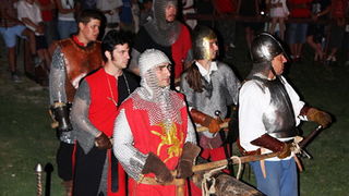 Zvonimirovi dani, Knin 28. i 29. lipnja 2008.