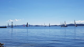 Zadarska Koka 2016. 22. listopada 2016. Foto: Mladen Malik Zadarska Koka 2016. 22. listopada 2016. Foto: Mladen Malik