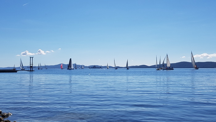 Zadarska Koka 2016. 22. listopada 2016. Foto: Mladen Malik Zadarska Koka 2016. 22. listopada 2016. Foto: Mladen Malik