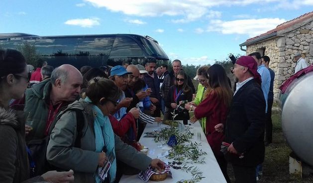 Image 1390711 (auto)