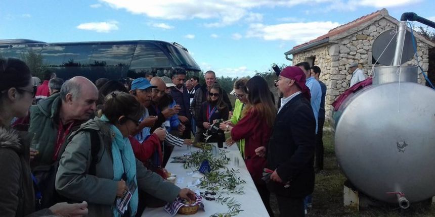 Image 1390711 (auto)