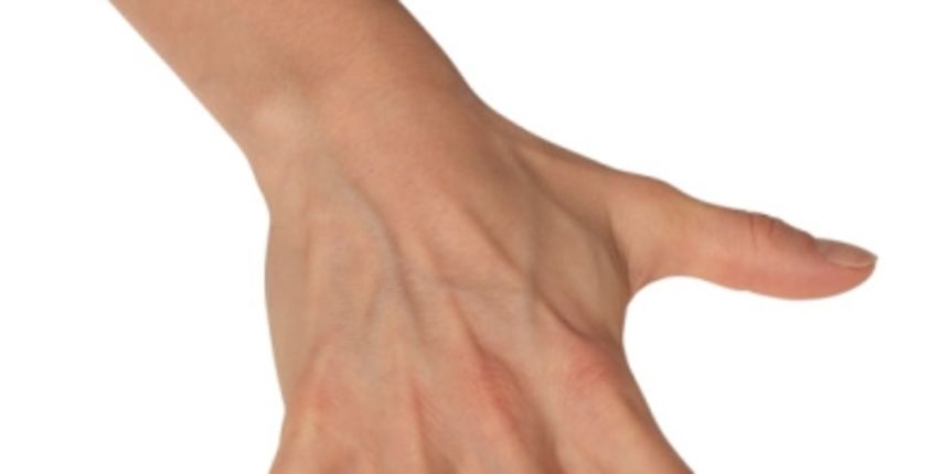 Prsti, foto: image.dnevnik.hr Prsti, foto: image.dnevnik.hr