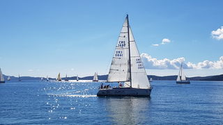 Zadarska Koka 2016. 22. listopada 2016. Foto: Mladen Malik Zadarska Koka 2016. 22. listopada 2016. Foto: Mladen Malik