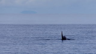 Image 441271 (auto) Image 441271 (auto)