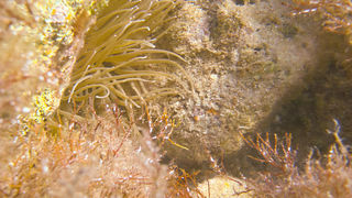 OLYMPUS DIGITAL CAMERA OLYMPUS DIGITAL CAMERA