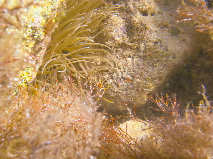 OLYMPUS DIGITAL CAMERA OLYMPUS DIGITAL CAMERA