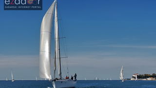 Zadarska koka 2017. Zadarska koka 2017.