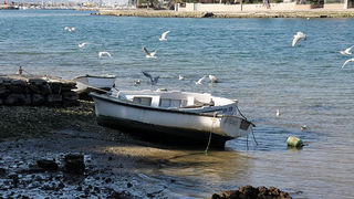 Oseka u Zadru more se povuklo nekih 50-ak cm