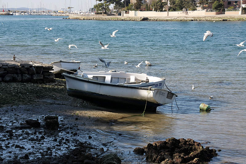 Oseka u Zadru more se povuklo nekih 50-ak cm
