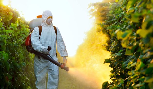 Zaprašivanje, dezinsekcija