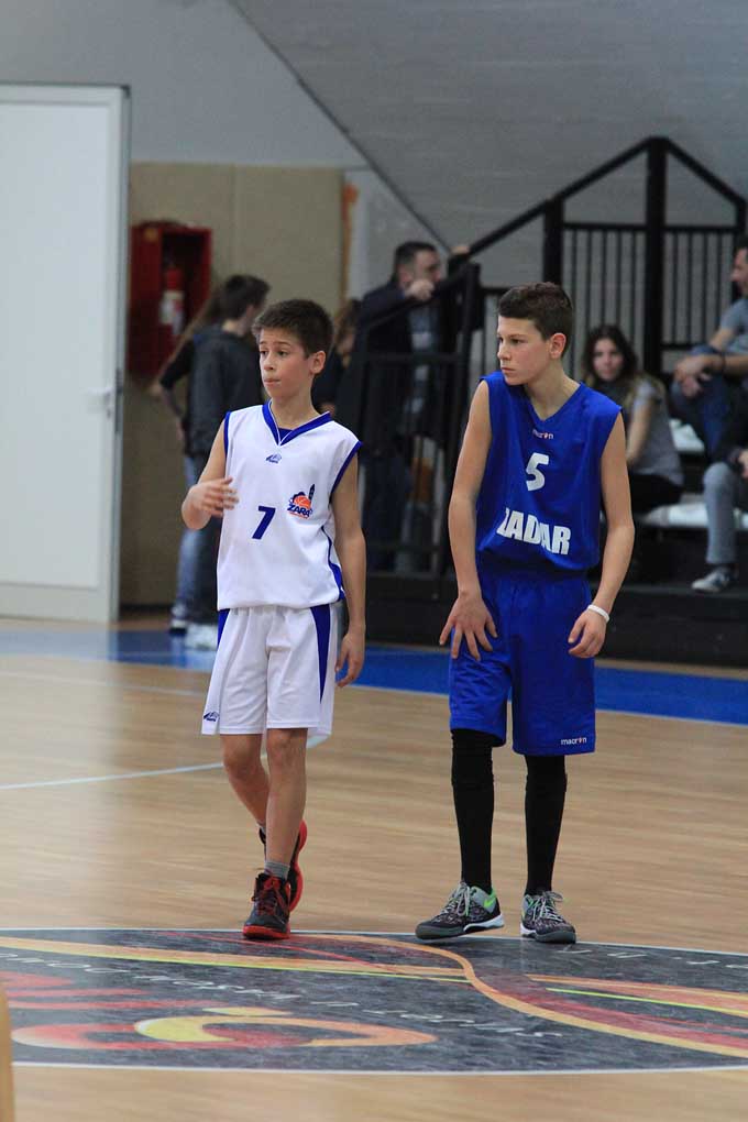 MBL liga: Cromaris kup 15. prosinca 2013. MBL liga: Cromaris kup 15. prosinca 2013.