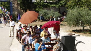 Bezafuza_Vela_Gospa_2007