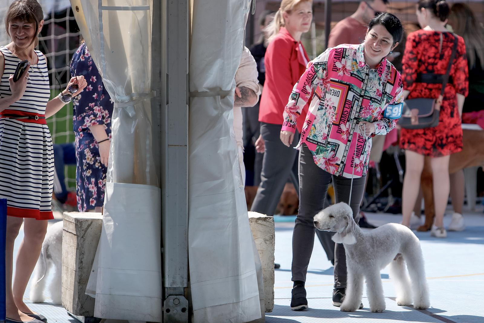 Međunarodna izložba pasa CACIB 2023