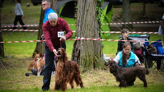 16. Međunarodna izložba pasa CACIB Zadar – Prvak prvaka 2016. 16. Međunarodna izložba pasa CACIB Zadar – Prvak prvaka 2016.