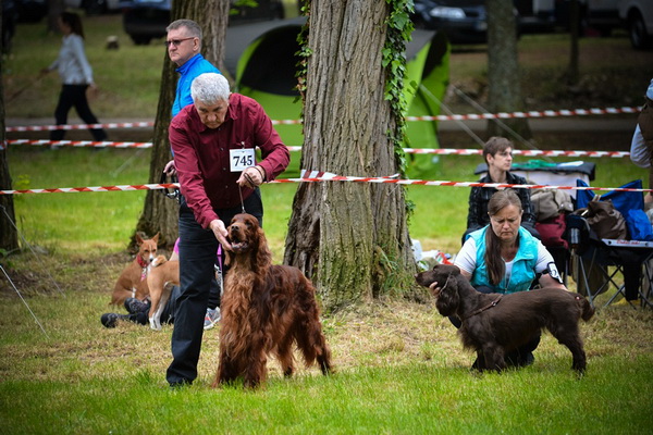 16. Međunarodna izložba pasa CACIB Zadar – Prvak prvaka 2016. 16. Međunarodna izložba pasa CACIB Zadar – Prvak prvaka 2016.