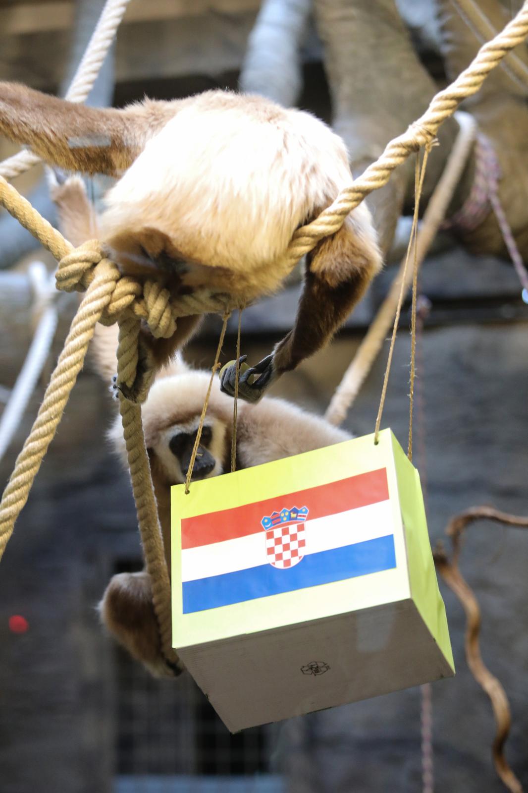 Gibon Kent odabrao pobjednika utakmice Hrvatska – Maroko