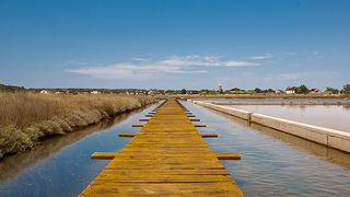 Solana Nin, berba soli, foto: Leo Banić