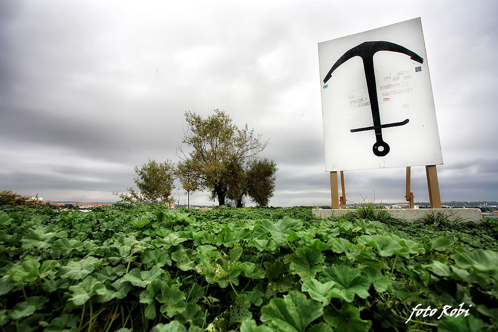 Skitnja gradom 11. listopada 2013.  Foto: Roberto Lerga