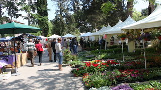Sveti Filip i Jakov: 11. Dani cvijeca Zadarske zupanije, Foto: Martin Brkljaca Sveti Filip i Jakov: 11. Dani cvijeca Zadarske zupanije, Foto: Martin Brkljaca