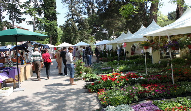 Sveti Filip i Jakov: 11. Dani cvijeca Zadarske zupanije, Foto: Martin Brkljaca