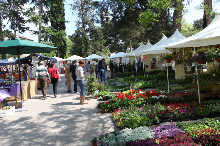 Sveti Filip i Jakov: 11. Dani cvijeca Zadarske zupanije, Foto: Martin Brkljaca Sveti Filip i Jakov: 11. Dani cvijeca Zadarske zupanije, Foto: Martin Brkljaca