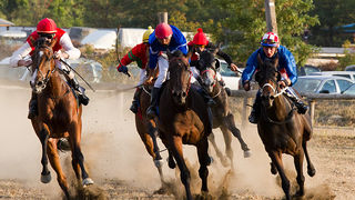 Polača: 14. Međunarodne konjičke utrke “Oluja 95”, Foto: Leo Banić Polača: 14. Međunarodne konjičke utrke “Oluja 95”, Foto: Leo Banić
