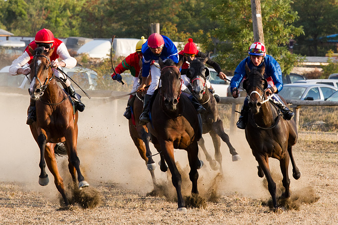 Polača: 14. Međunarodne konjičke utrke “Oluja 95”, Foto: Leo Banić Polača: 14. Međunarodne konjičke utrke “Oluja 95”, Foto: Leo Banić