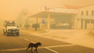 Veliki požar na Pelješcu