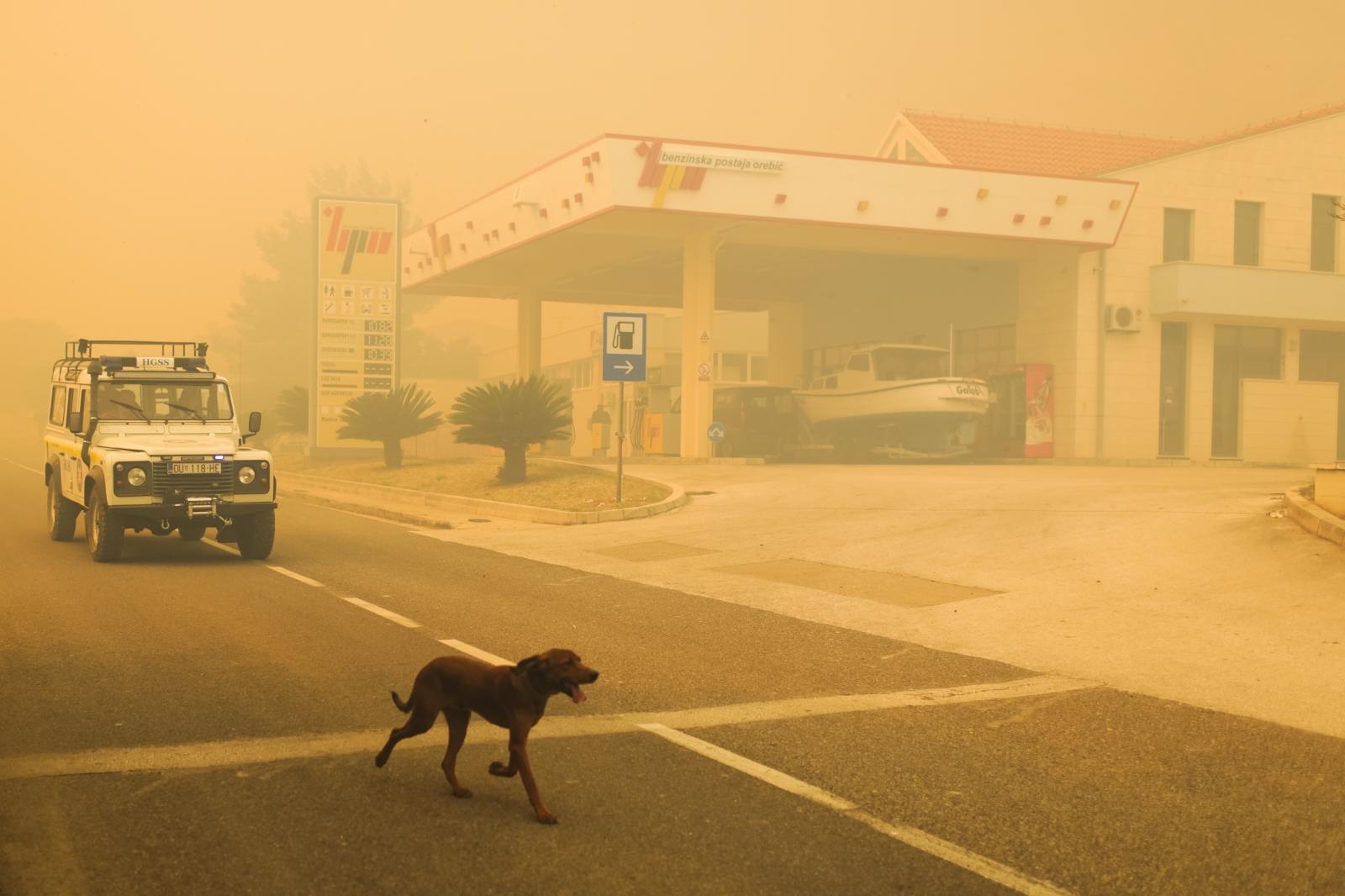 Veliki požar na Pelješcu