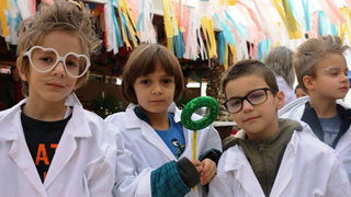 Virski karnevalić 2016. Virski karnevalić 2016.