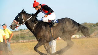 Zadar, 200811.
U Polaci na hipodromu Ravni kotari odrzane su 
14. Medjunarodne galopske konjicke utrke “Oluja 95”. 
Foto: Andrija Lucic / CROPIX