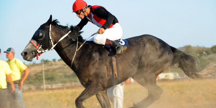 Zadar, 200811.
U Polaci na hipodromu Ravni kotari odrzane su 
14. Medjunarodne galopske konjicke utrke “Oluja 95”. 
Foto: Andrija Lucic / CROPIX