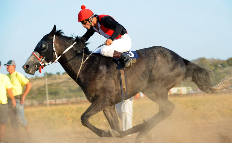 Zadar, 200811.
U Polaci na hipodromu Ravni kotari odrzane su 
14. Medjunarodne galopske konjicke utrke “Oluja 95”. 
Foto: Andrija Lucic / CROPIX
